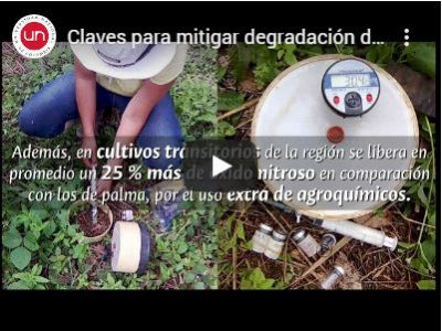 Claves para mitigar degradación de suelos en la Orinoquia