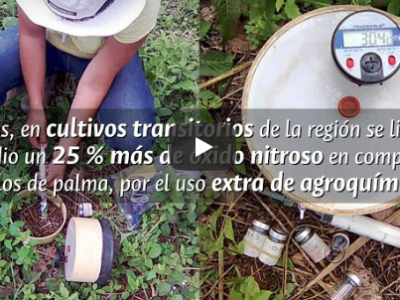 Claves para mitigar degradación de suelos en la Orinoquia